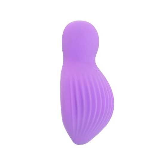 Mini vibro rechargeable EnchantedDesire violet - FairyGasm