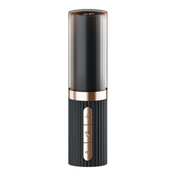 Stimulateur clitoridien Satisfyer Pro 2 Kiss 